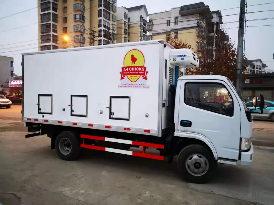 Dongfeng 4X2 5ton Small Live Day Old Chicken Transport Double Temperature Unit Truck