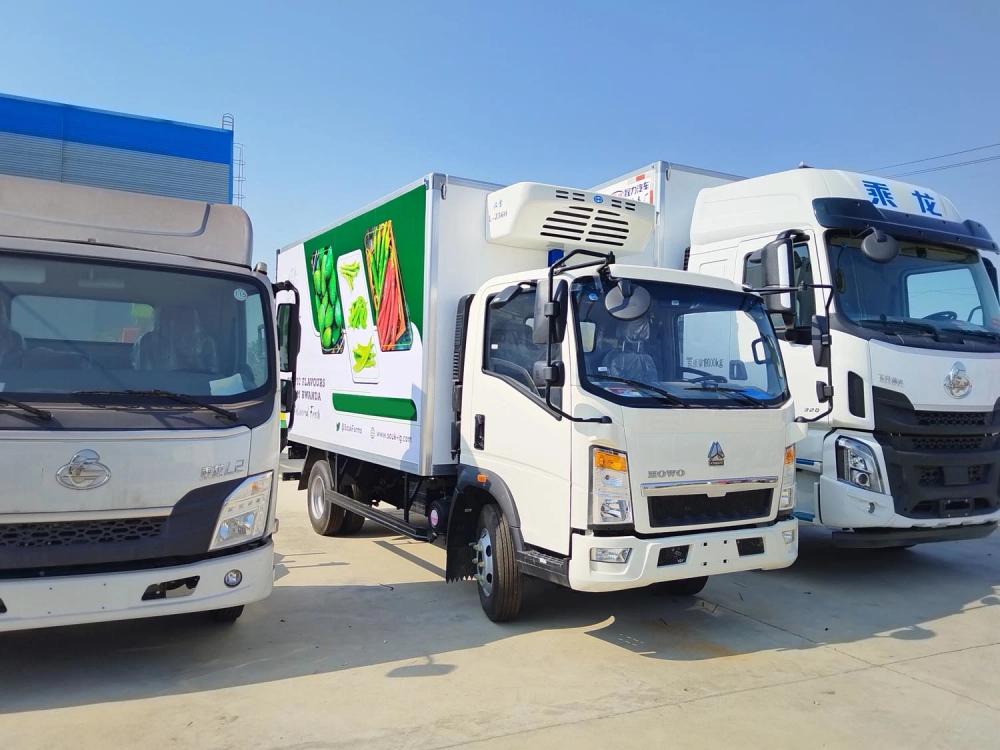 HOWO 4X2 8tons Refrigeration Reefer Van Truck