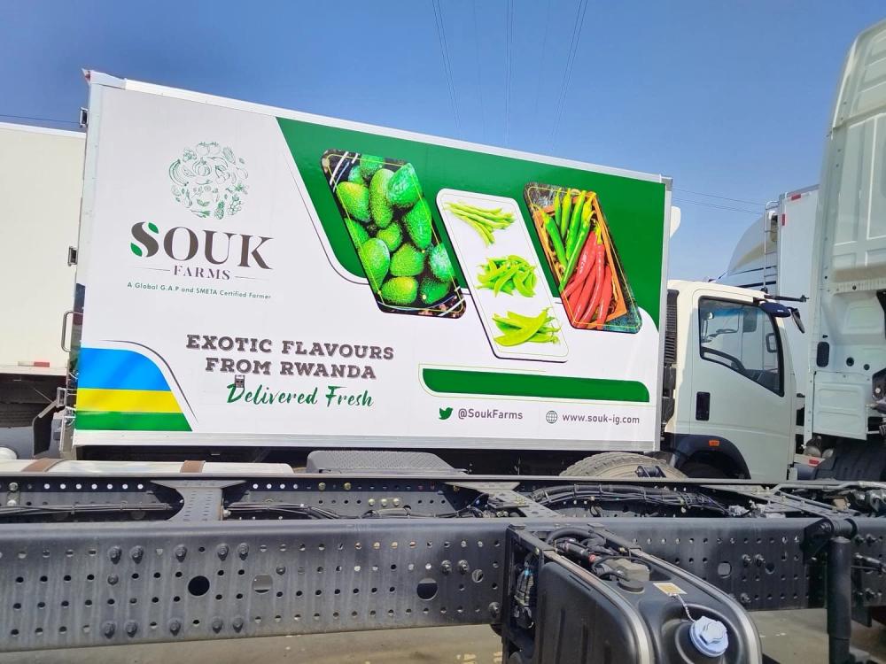 HOWO 4X2 8tons Refrigeration Reefer Van Truck