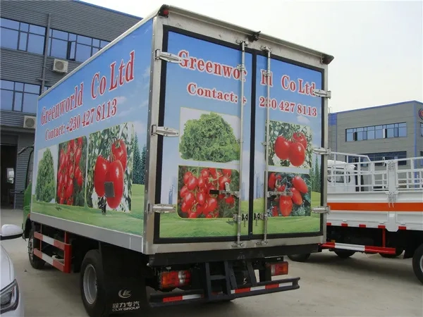 HOWO 4X2 5tons Fruit and Vegetable Transport Mini Refrigerated Truck