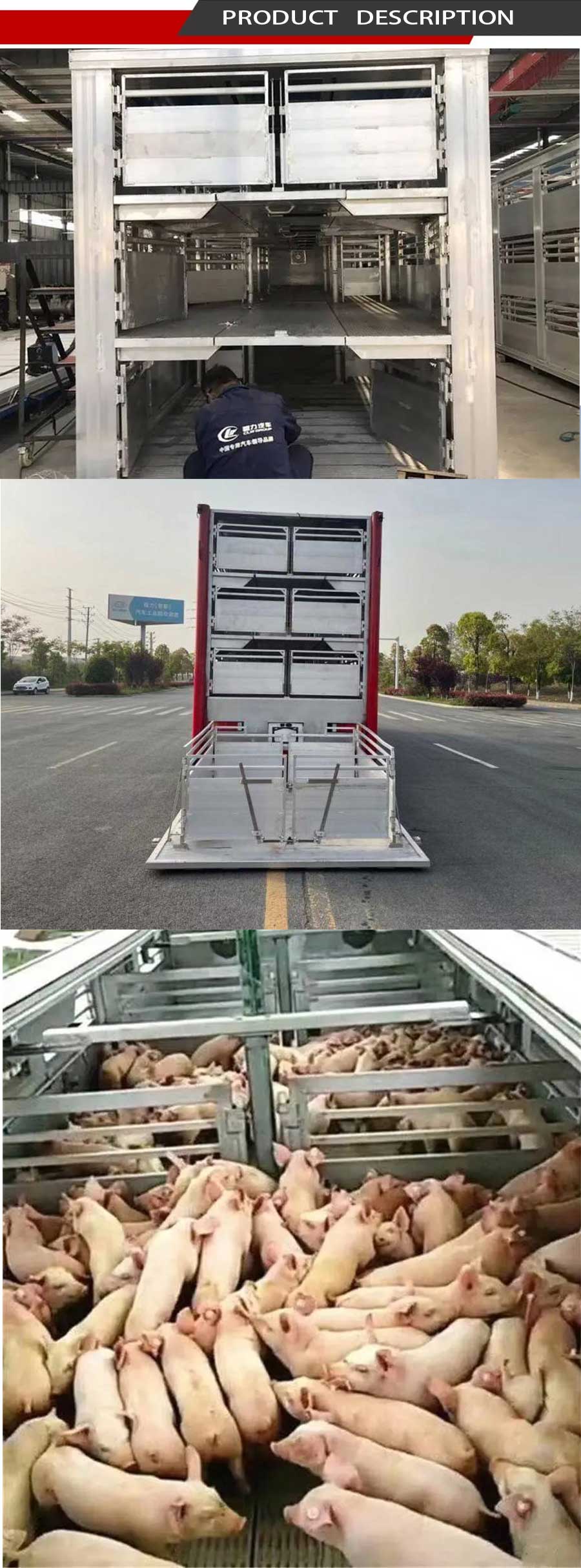 Animal Transport Truck 02